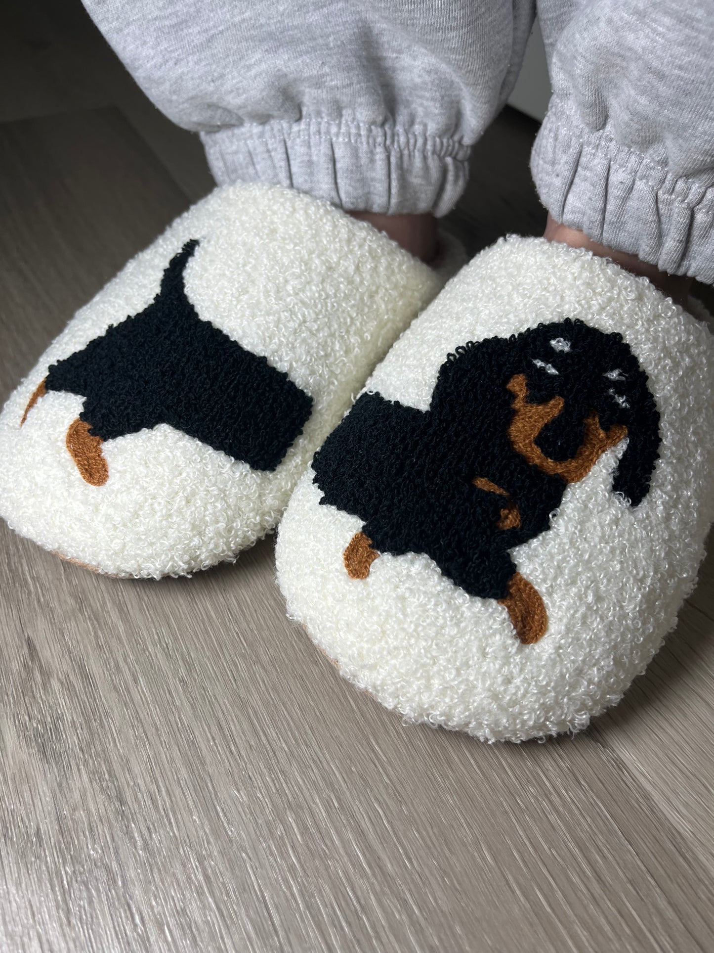 Przytulne Kapcie Jamnik